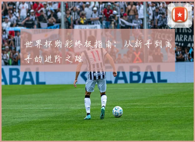 世界杯购彩终极指南：从新手到高手的进阶之路