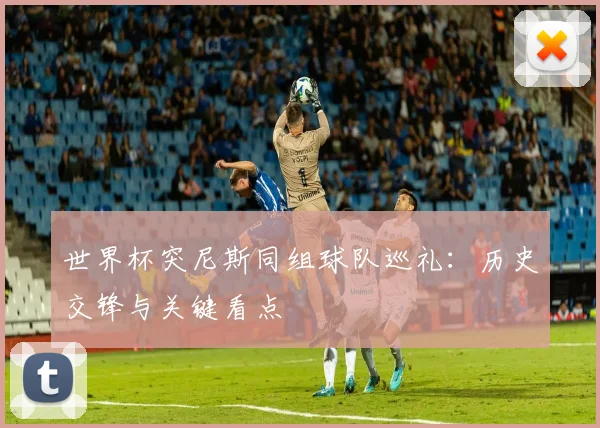 世界杯突尼斯同组球队巡礼：历史交锋与关键看点
